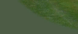 Click to Enter EaglesViewGolf.com